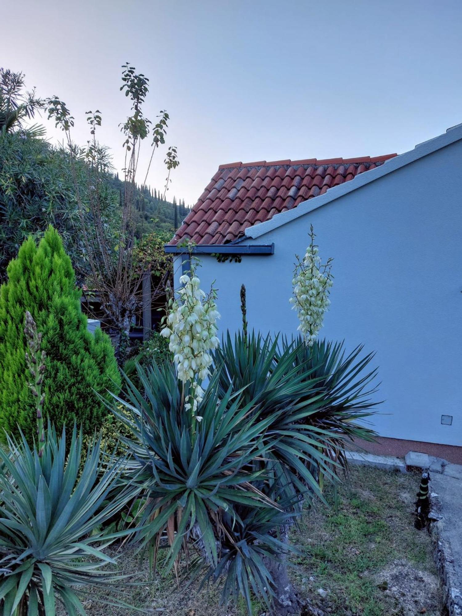 Holiday Home Sunrise Gruda Luaran gambar